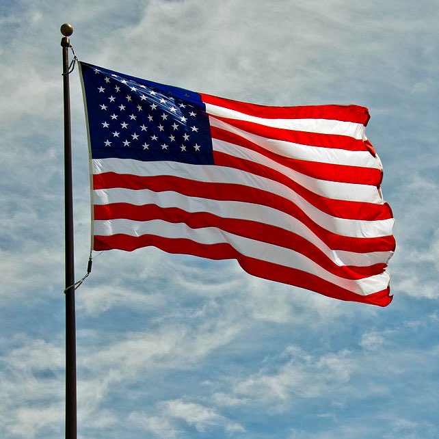 ​WAR VECTOR tweet media