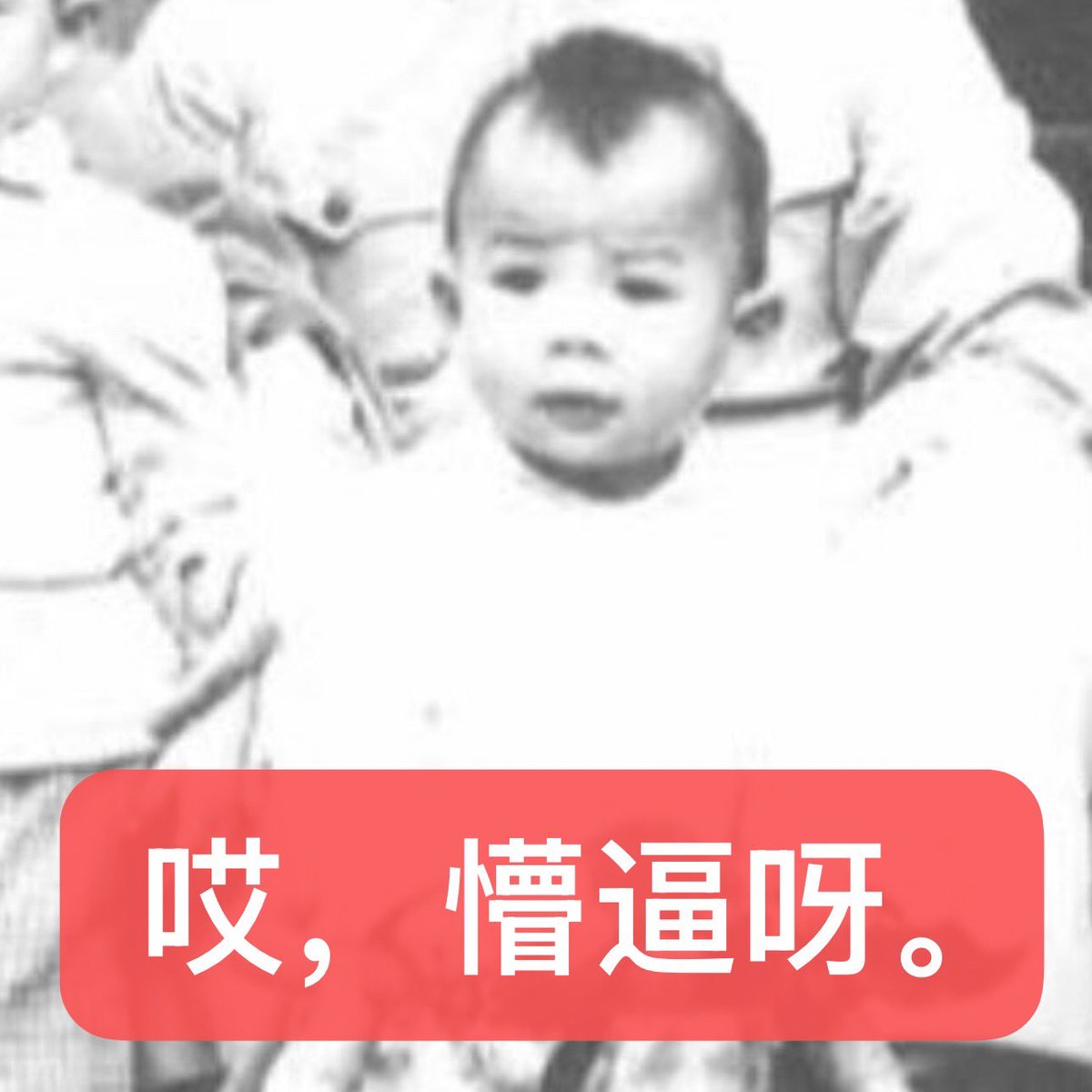 我实不知颦儿心中是何丘壑 tweet media