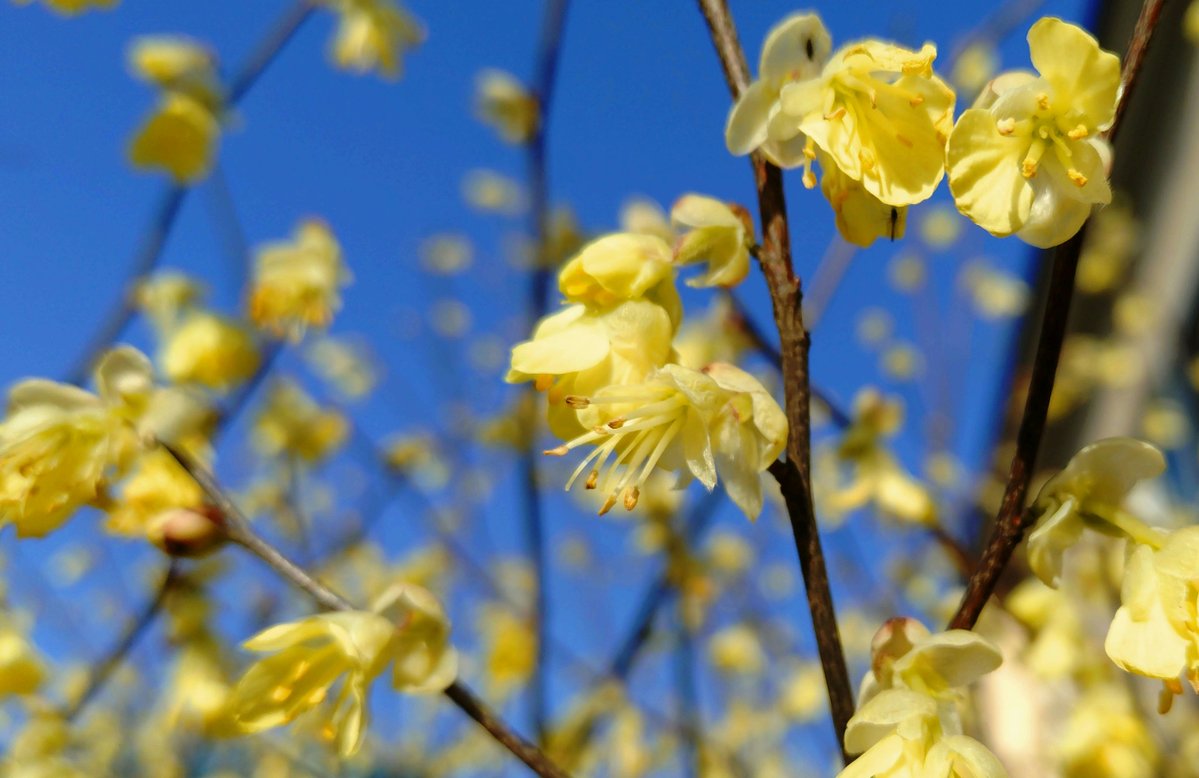 ふんた🎿 tweet media