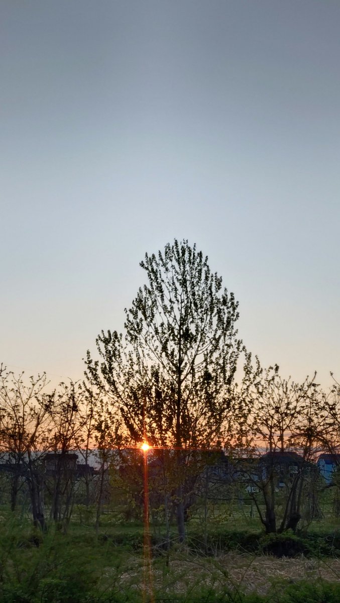 ふんた🎿 tweet media