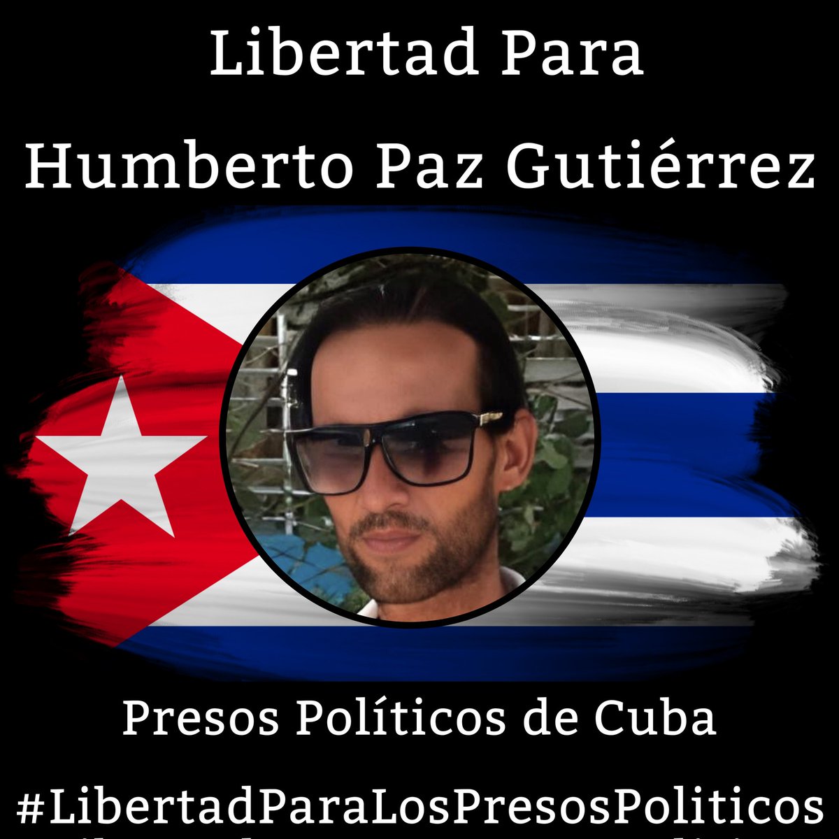 Ana M Suarez tweet media