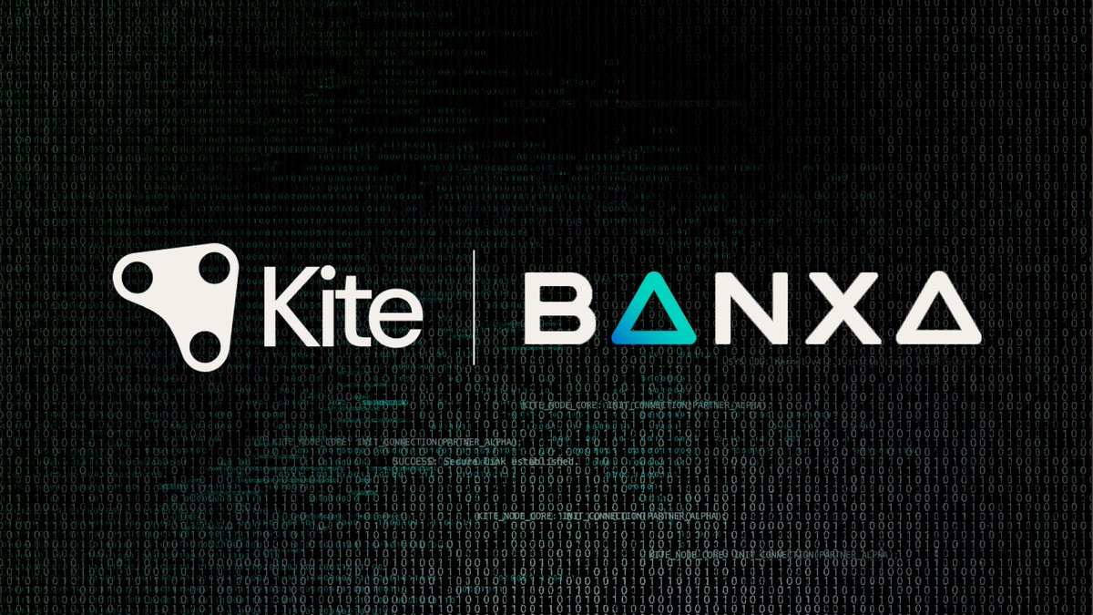 KITE AI tweet media
