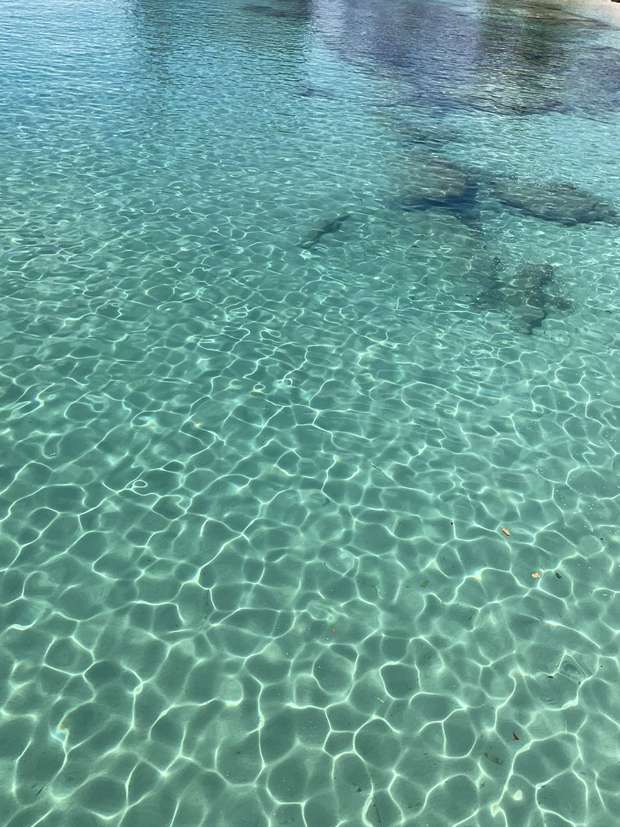 Theodora 🇧🇧 tweet media