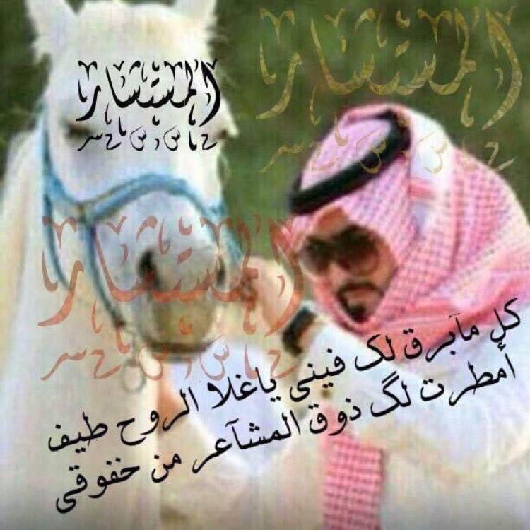 المستشار tweet media