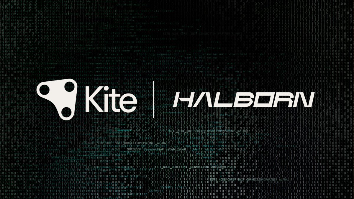 KITE AI tweet media