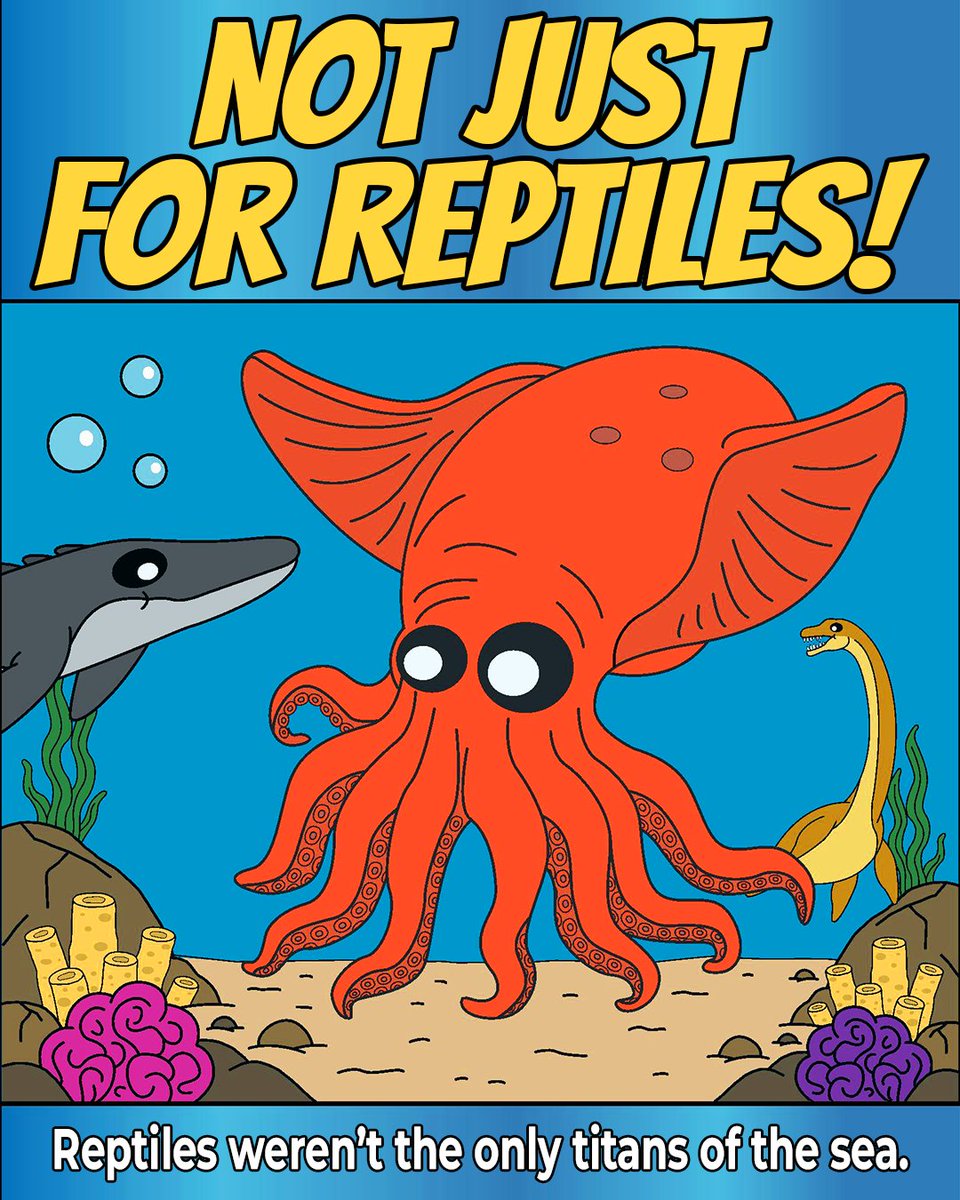 NapkinAnimation's tweet image. New research on Nanaimoteuthis points to some wild clues hidden in fossil beaks. Turns out the ancient food chain may have been stranger than we thought.

#CretaceousKraken #Paleontology #Octopus