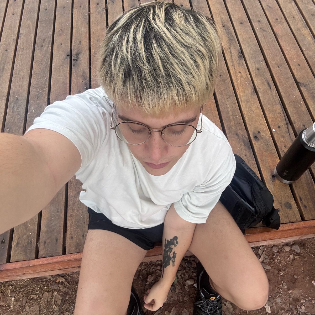milo tweet media