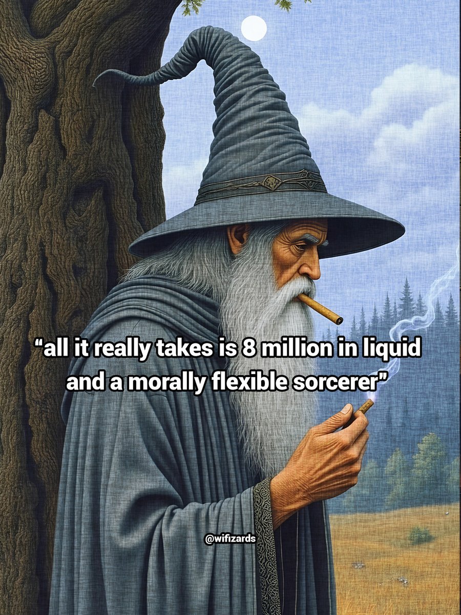 World Wise Wizards tweet media