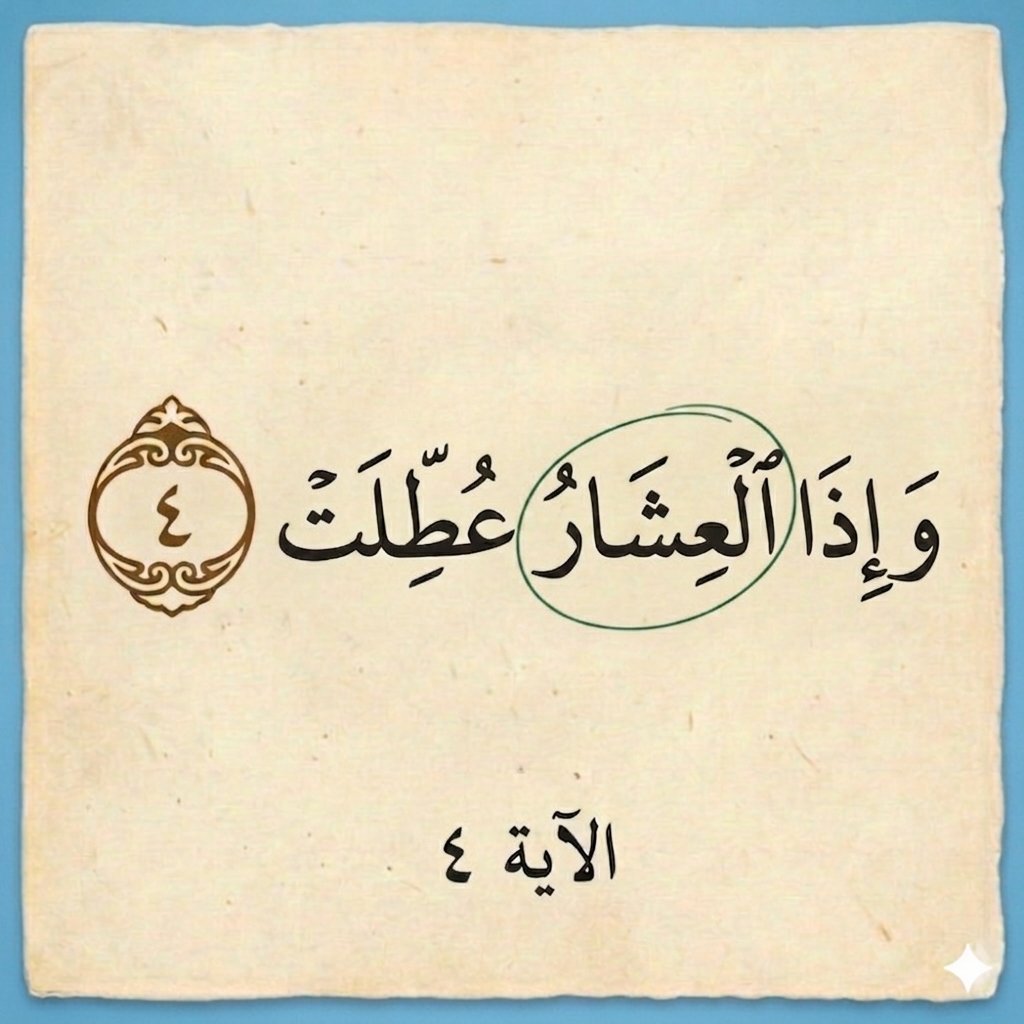 رغد العتيبي tweet media
