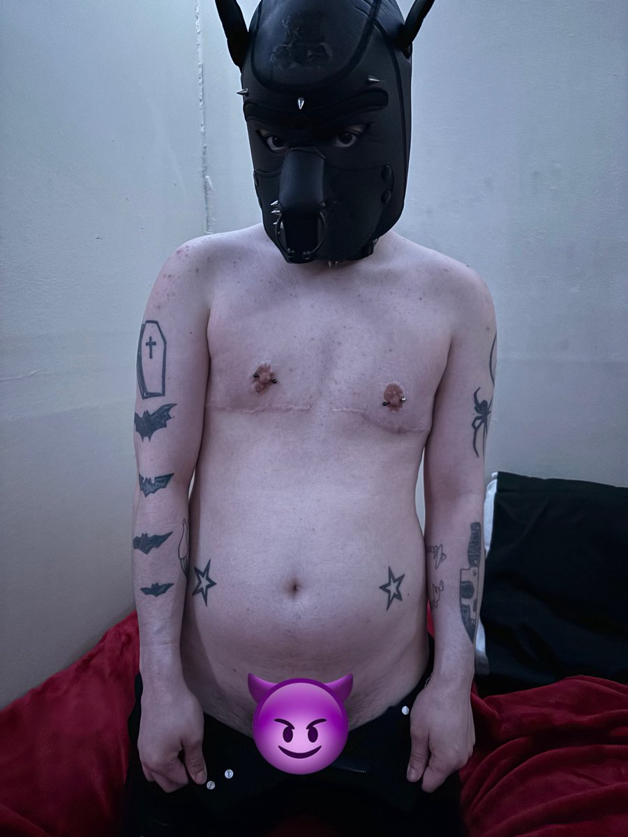 Pup Phantom 🖤 tweet media