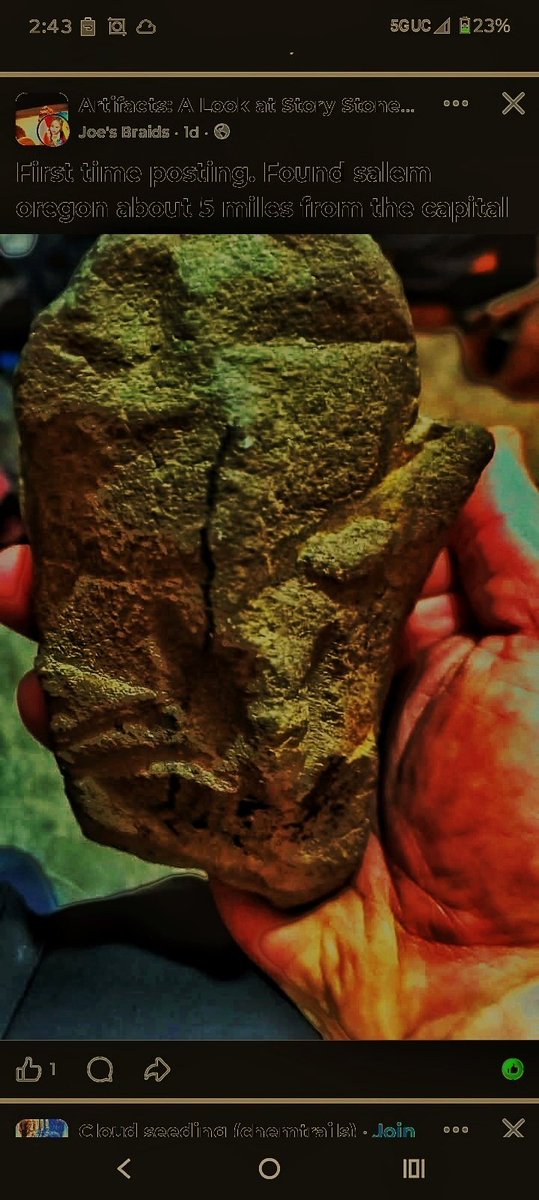 Spirit Realm tweet media