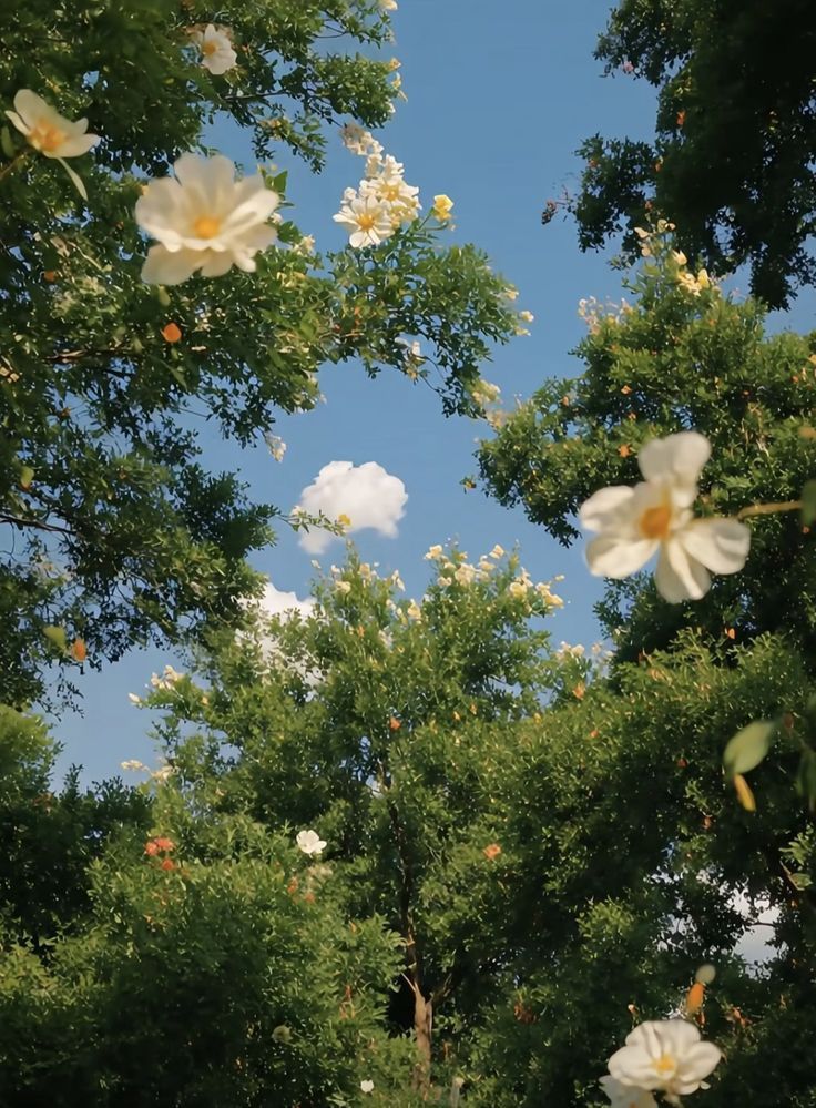 greenvibe tweet picture