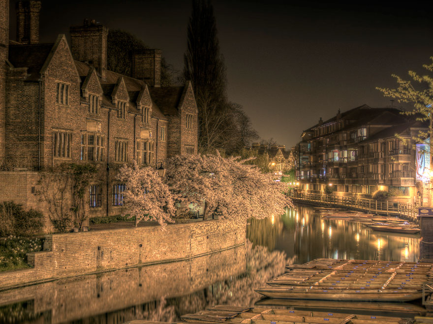 UnbearAbull.minima tweet media