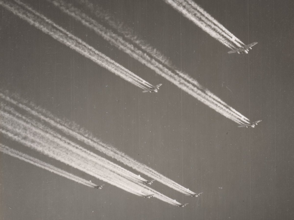 InfoGraphicFact tweet media