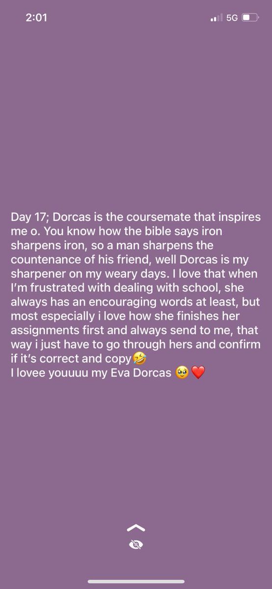 stargirl tweet media