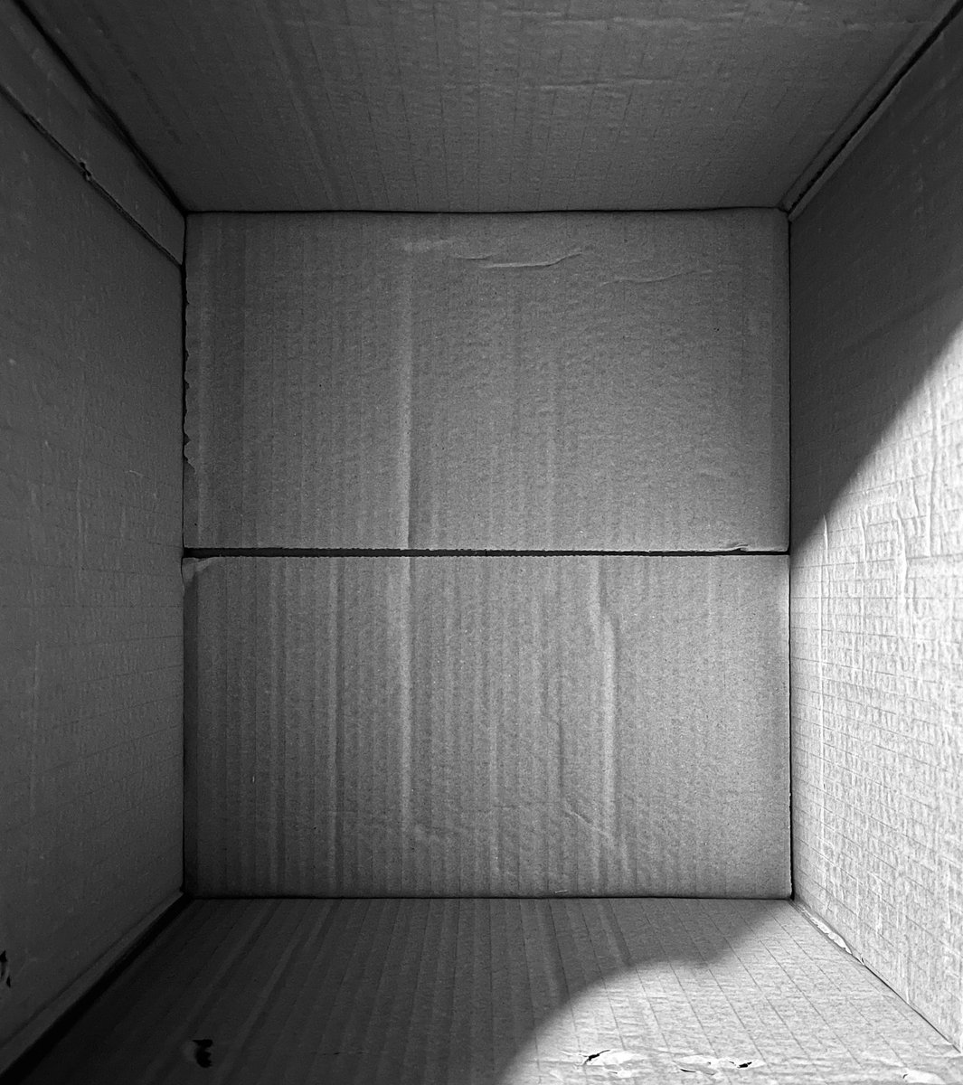 RichMonochrome's tweet image. Boxed In #blackandwhite #monochrome