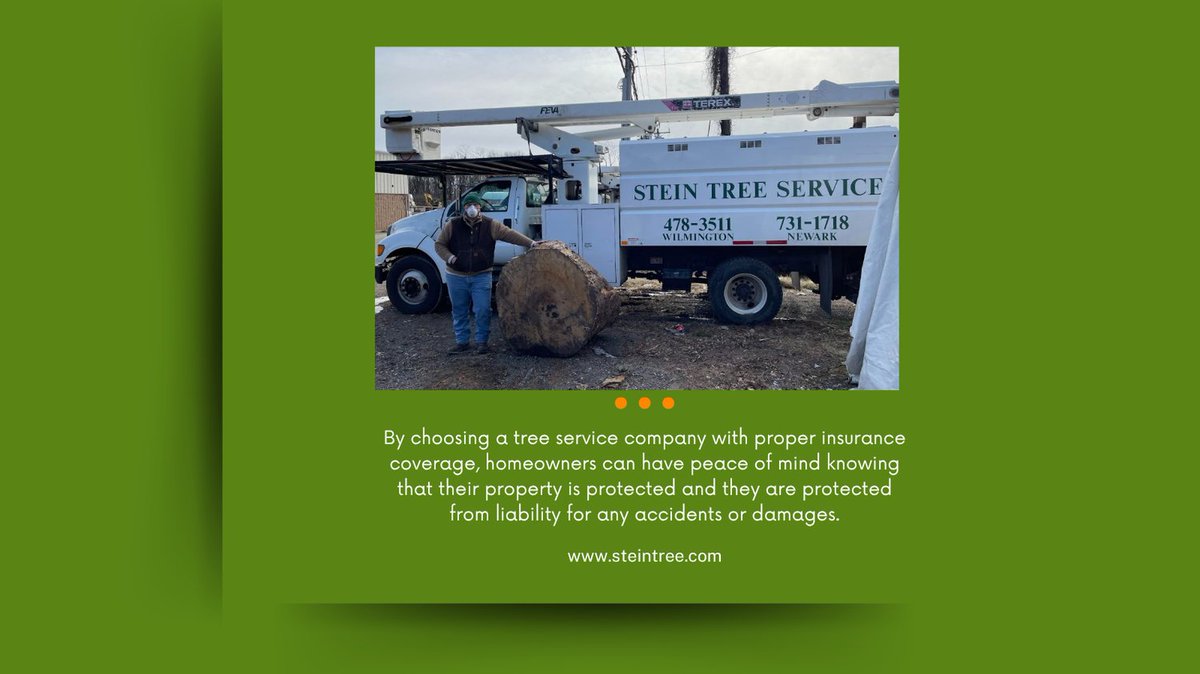 Stein Tree Service tweet media