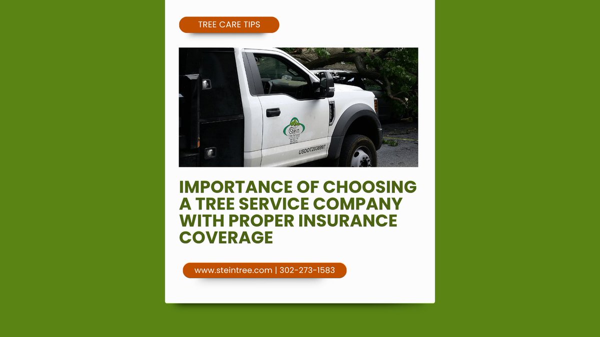 Stein Tree Service tweet media