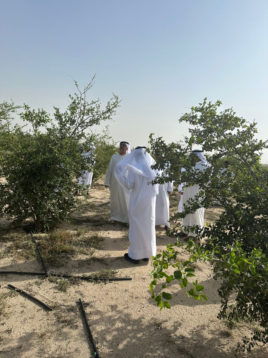 UNmatar's tweet photo. بالتزامن مع يوم الأرض، سعدتُ بزيارة محمية السدر في منطقة العريفجان، والاطلاع على الجهود المتميزة في مجالات التشجير والاستدامة والابتكار الزراعي، بما يعكس الاهتمام المتزايد بالحفاظ على البيئة وأثمن الجهود الطيبة التي يبذلها الناشط الزراعي عبيد الشمري في المساهمه في زيادة الغطاء الزراعي، بما يسهم في ترسيخ ثقافة الاستدامة وتعزيز الاهتمام بالبيئة للأجيال القادمة.🌱