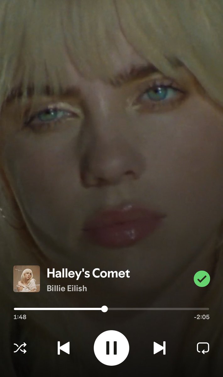 lily🦇 tweet media