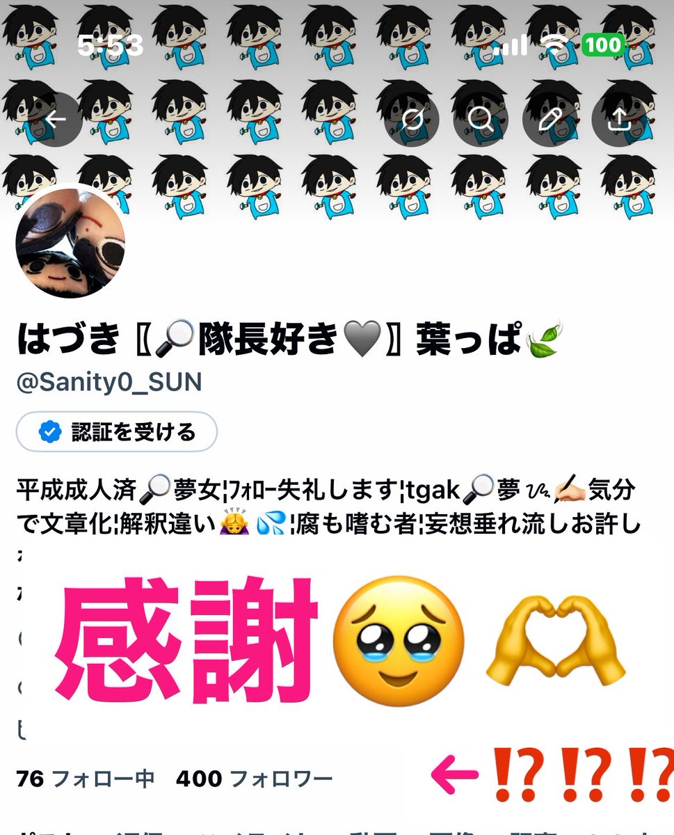 はづき〖🔎隊長好き🩶〗葉っぱ🍃 tweet media