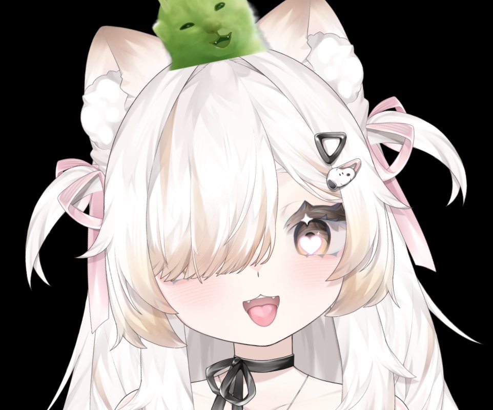 Milk🥛🐈 ミルク tweet media