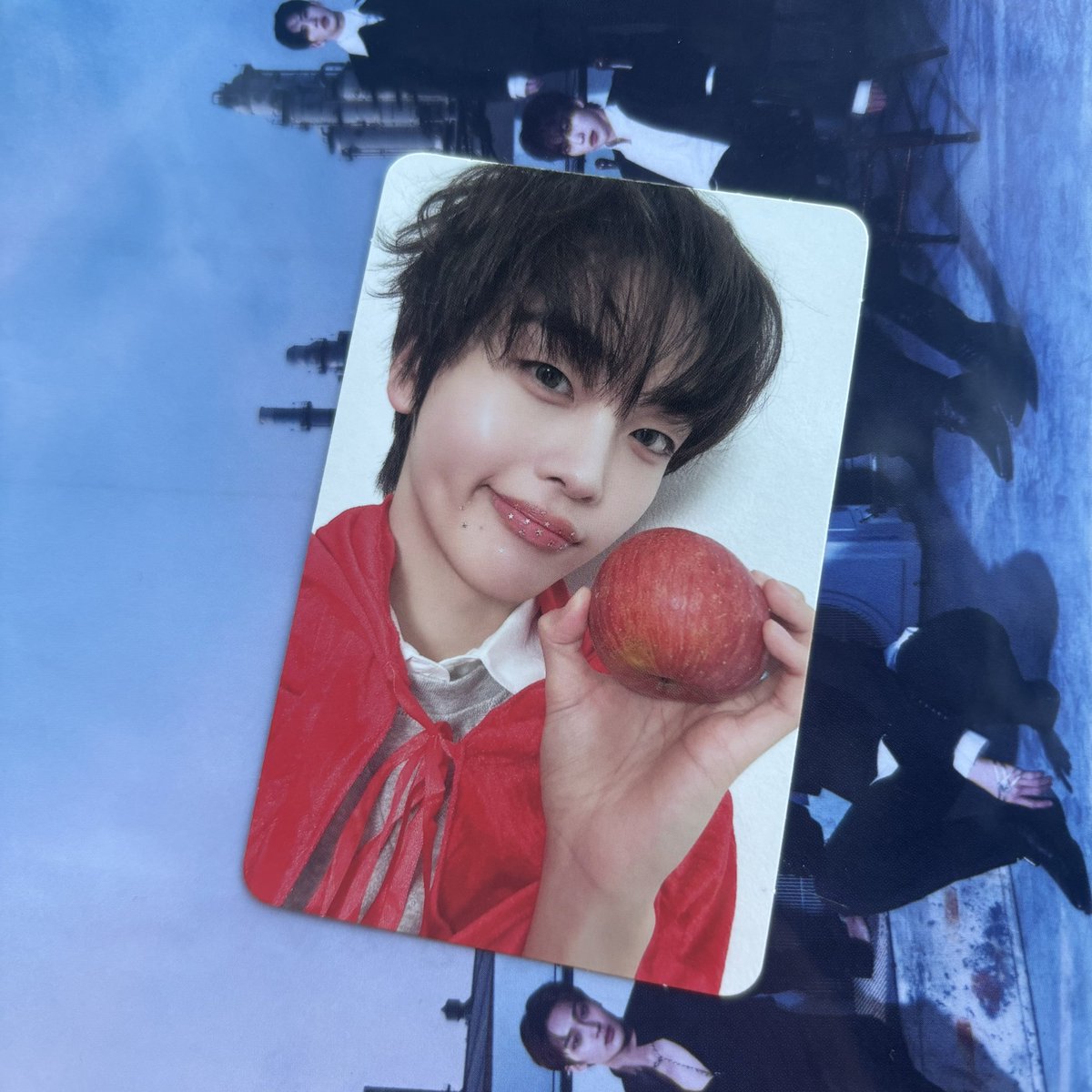 쏭밍 tweet media