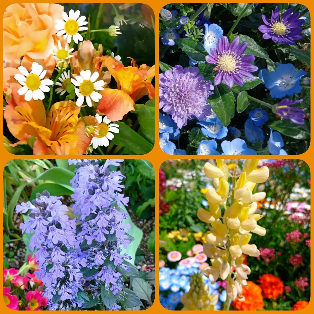 🎀ほほえみ🎀 tweet media