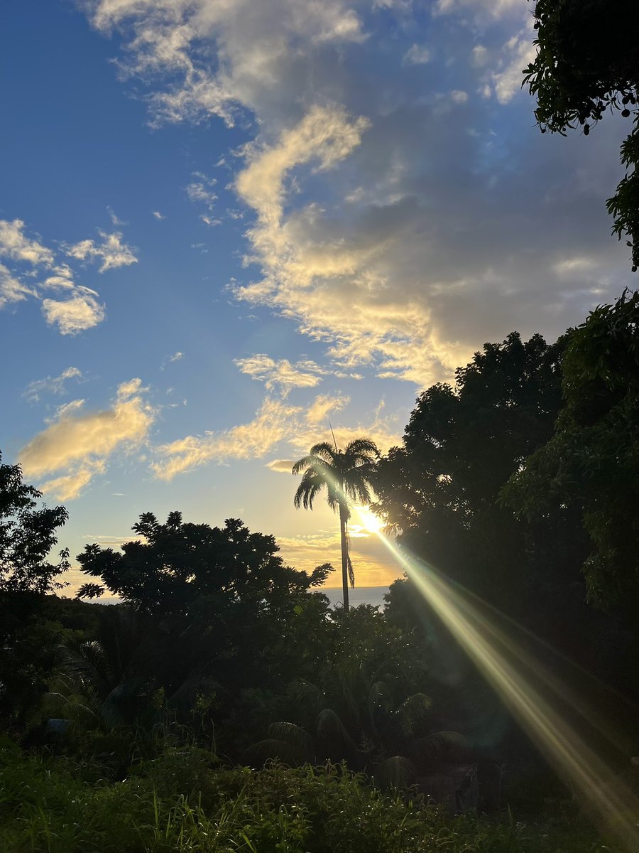 bbyluz🧚🏽 tweet media