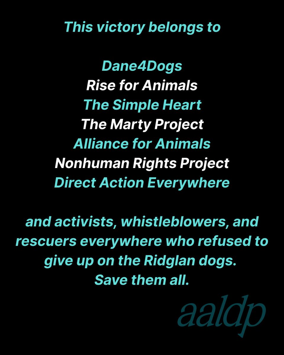AALDP_DU's tweet image. BREAKING: Ridglan Farms to release almost 1000 dogs to rescue organization!