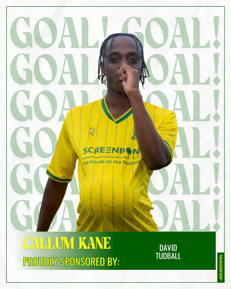 Hitchin Town FC tweet media