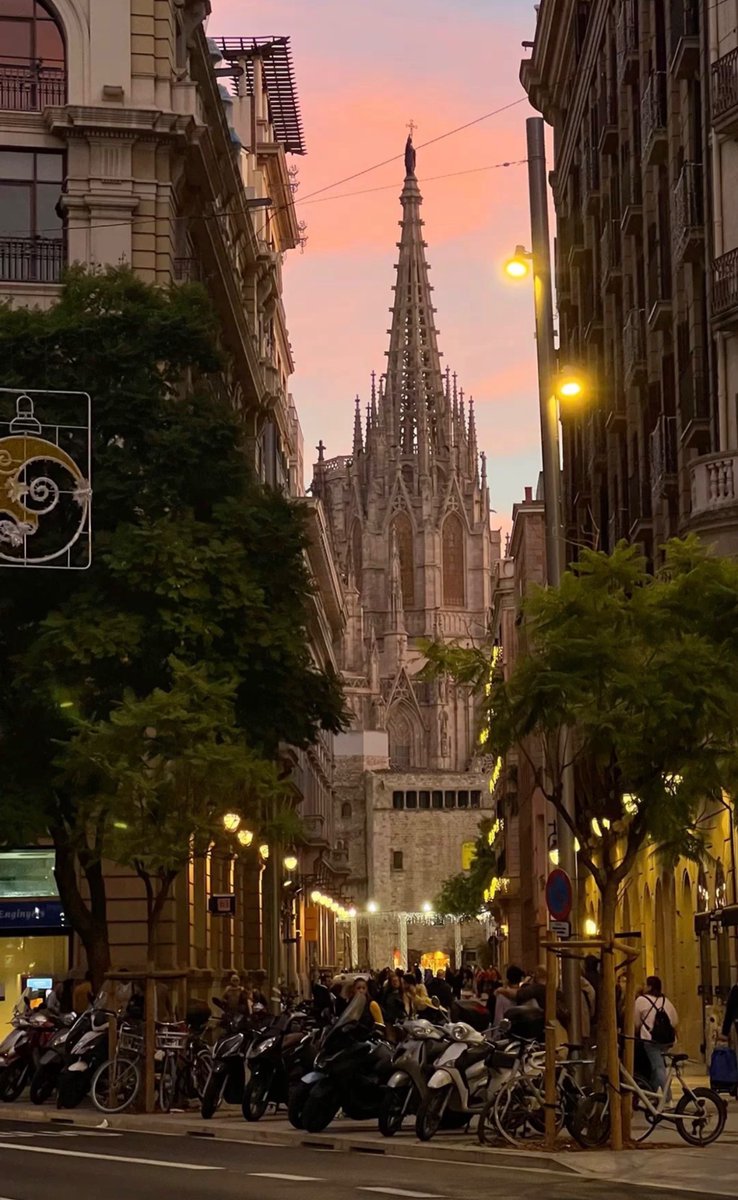 WORLD 2026 🌊 tweet media