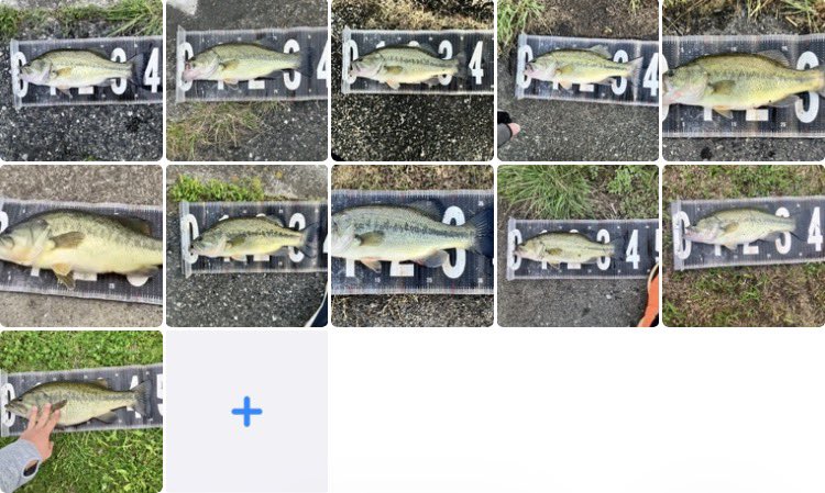 ヒロロ@デカハネGP初参加 tweet media