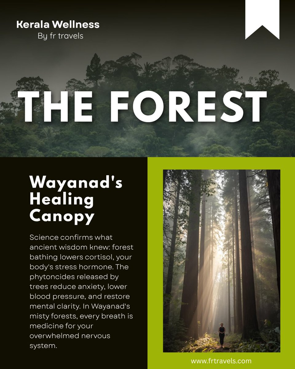 frtravelsx's tweet image. Have you guys heard about kerala ? 

#kerala #calm #tourism