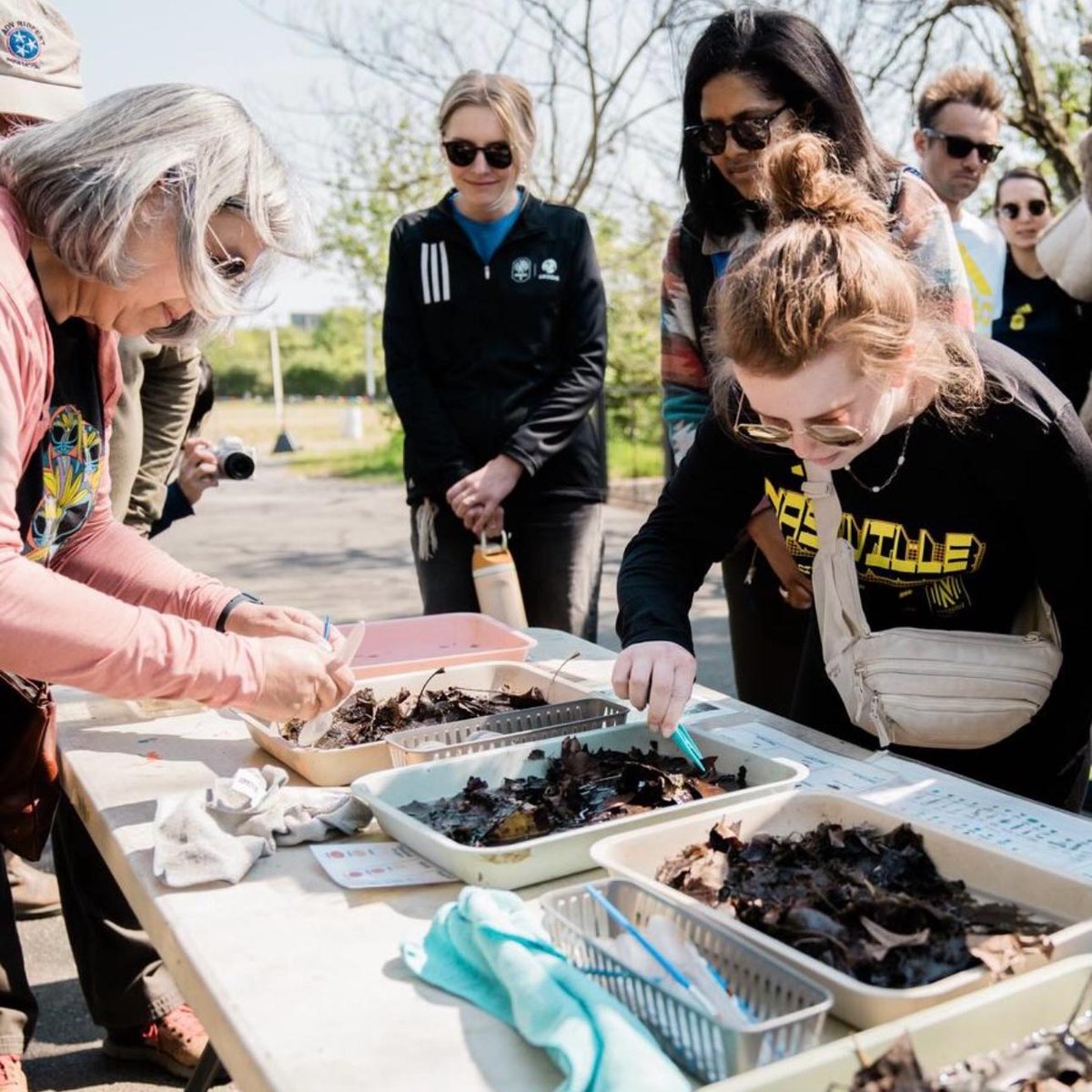 MLSWORKS tweet media