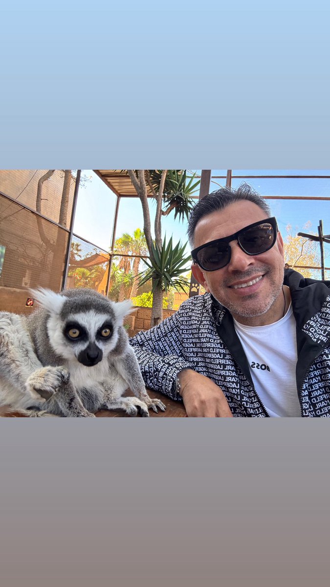 ercan_colmekci's tweet photo. Life is precious, live it wisely. You never know what will happen next.
#tenerife #canarianisland https://t.co/U78HkP1eEG