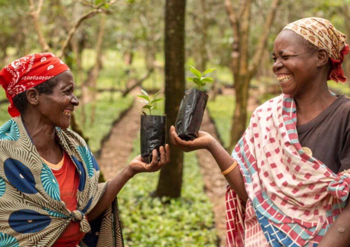 GorongosaPark's tweet photo. “From the beginning, it was never just about wildlife; our goal is to restore and protect two million hectares of biodiversity while creating lasting prosperity for the people who live here.”

      —Greg Carr, Founder, Gorongosa Restoration Project

https://t.co/N58Ae8HwL1 https://t.co/yCPGIOJoHR