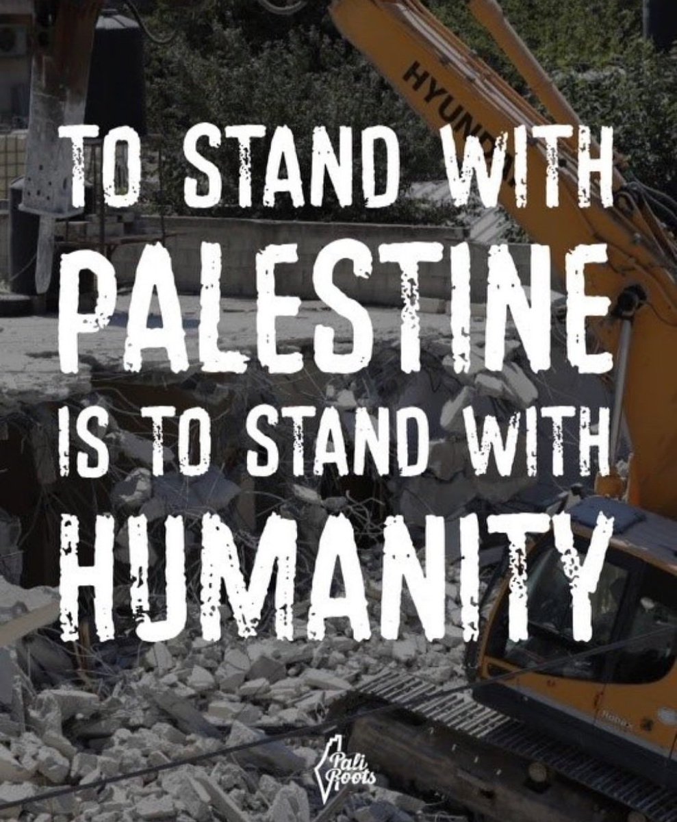 Sylvano Cardoso tweet media