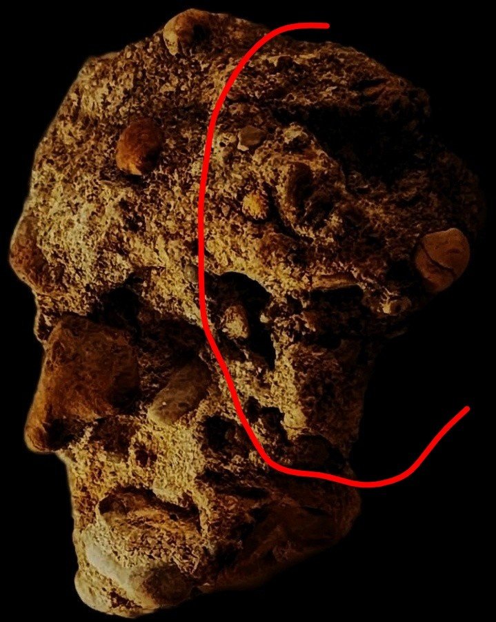 Spirit Realm tweet media