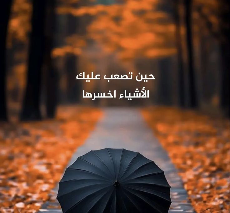 بحر tweet media