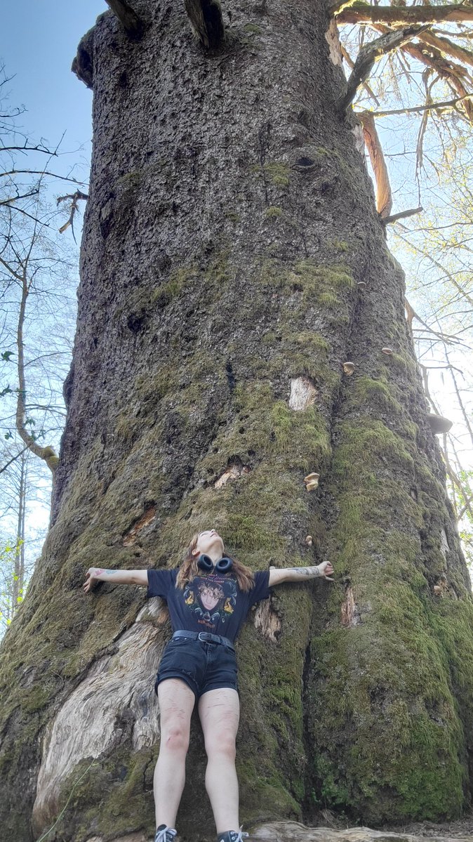 Green Yuri of Shedtwt tweet media