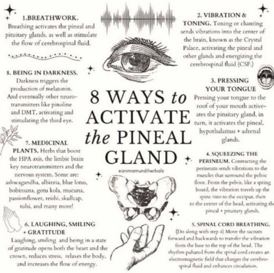 vegastarr's tweet image. 8 Ways To Activate The Pineal Gland 👁️✨