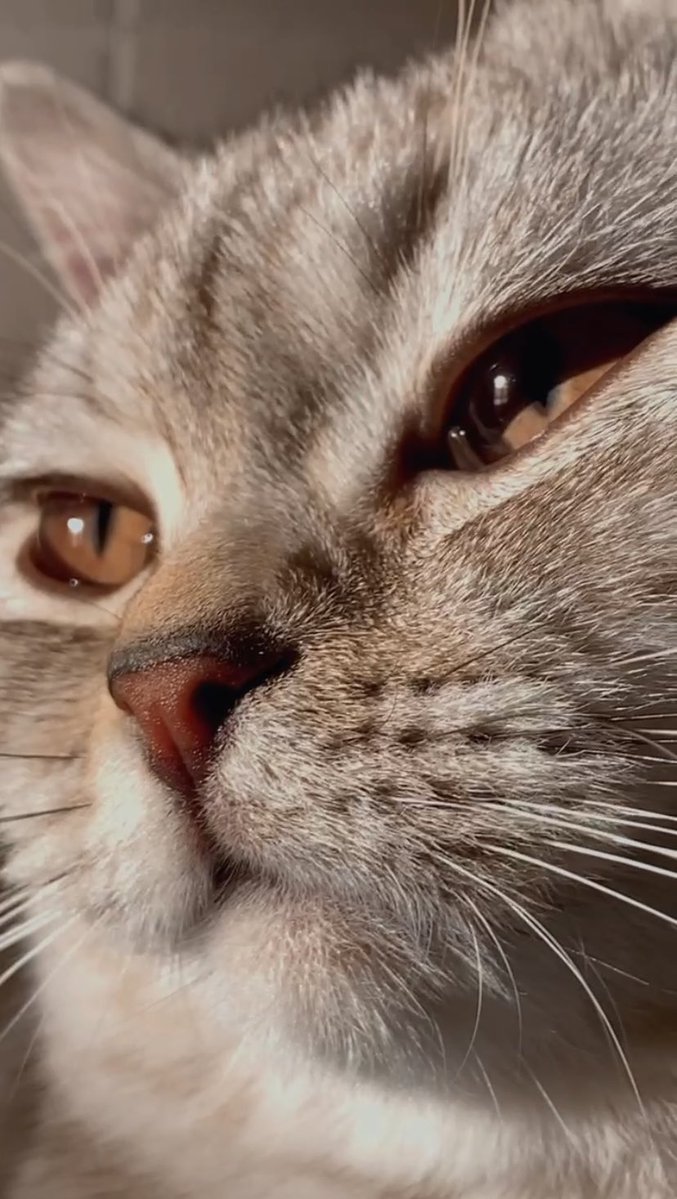 𝑹 𝑼 𝑽 tweet media