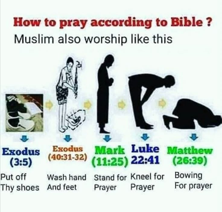 Beet-Kon | Muslim Revert tweet media