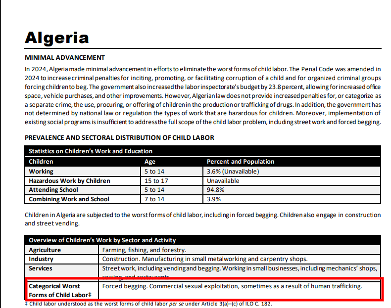 🇲🇦👑 Tsuga 🕵️ ⵜⵙⵓⴳⴰ 🇲🇦👑🌟🌟 tweet media