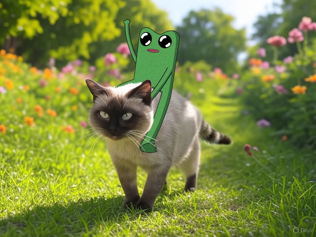 Pwog tweet media