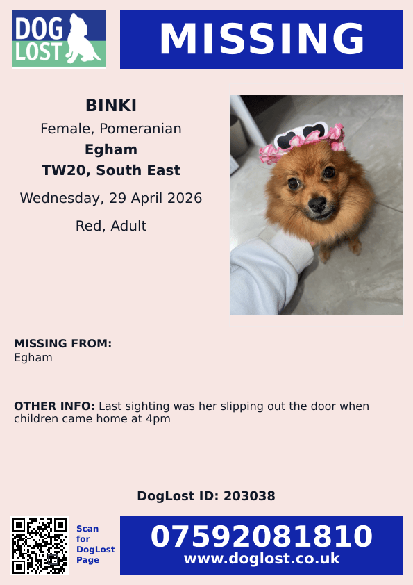MissingPetsGB's tweet image. 🐕 BINKI went #missing earlier today 29 April 2026 from home in #Egham #Surrey #TW20 when she slipped out the door when the children came home at 4pm.

Binki is a pomeranian, red, adult. Please call asap if sighted! doglost.co.uk/dog/203038