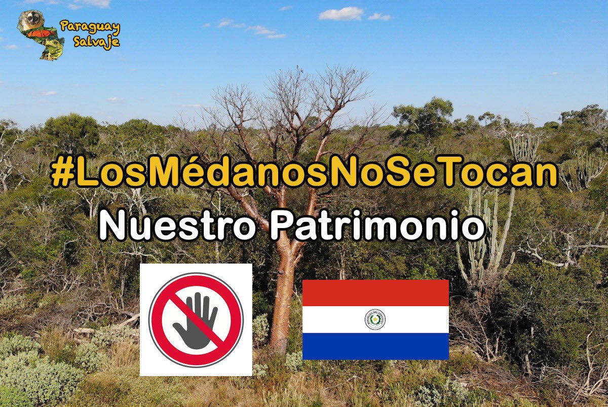Paraguay Salvaje tweet media