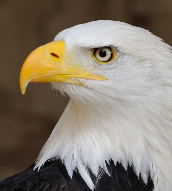 Stats Globe tweet media