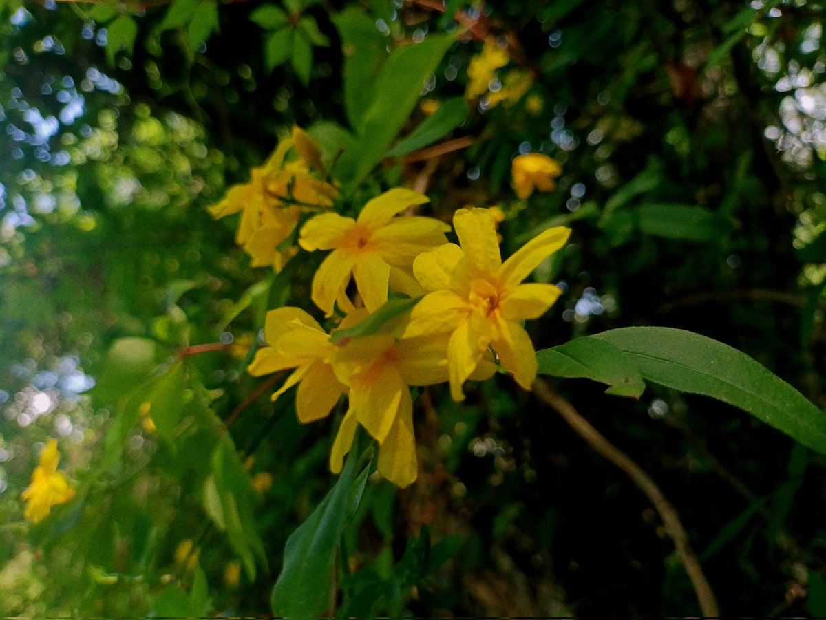 F3L1P3_u's tweet image. Wuu fotitos de la naturaleza :PPP
#fotografia #photography